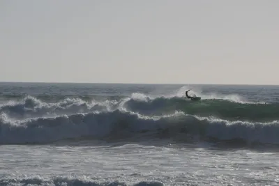 DSC_7056 (Large).JPG